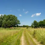Wilcza Polana Kolo Miedzygorza Z Jacuzzi I Sauna * Jaworek