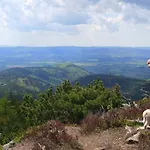 Wilcza Polana Kolo Miedzygorza Z Jacuzzi I Sauna Chalet *