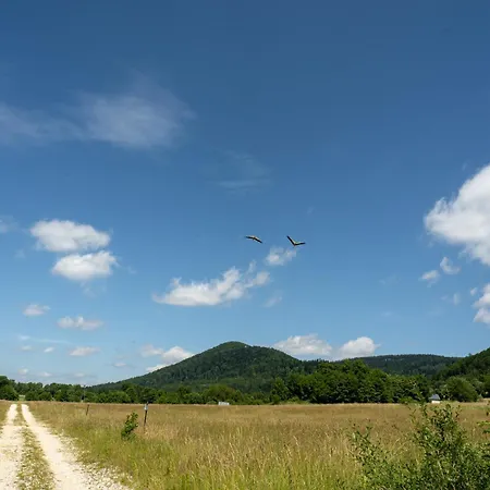 Wilcza Polana Kolo Miedzygorza Z Jacuzzi I Sauna Chalet *