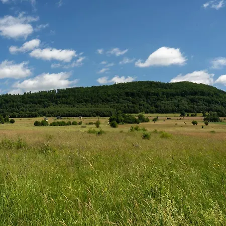 Wilcza Polana Kolo Miedzygorza Z Jacuzzi I Sauna *