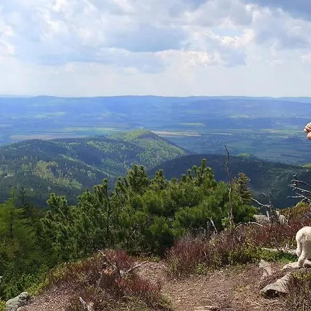 Wilcza Polana Kolo Miedzygorza Z Jacuzzi I Sauna Horská chata *