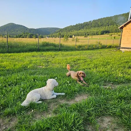 Horská chata Wilcza Polana Kolo Miedzygorza Z Jacuzzi I Sauna Jaworek