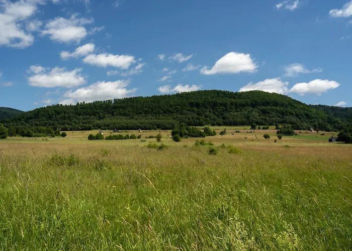 Wilcza Polana Kolo Miedzygorza Z Jacuzzi I Sauna Alpehytte Jaworek