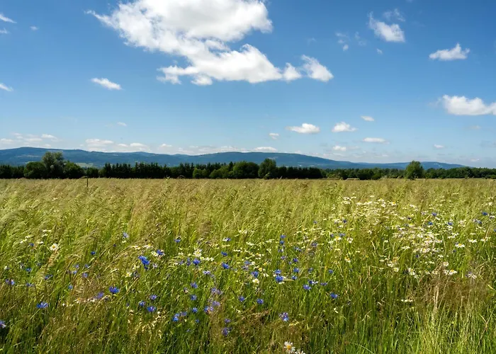 Alpehytte Wilcza Polana Kolo Miedzygorza Z Jacuzzi I Sauna *
