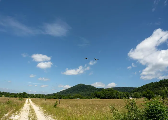 Wilcza Polana Kolo Miedzygorza Z Jacuzzi I Sauna Alpehytte *