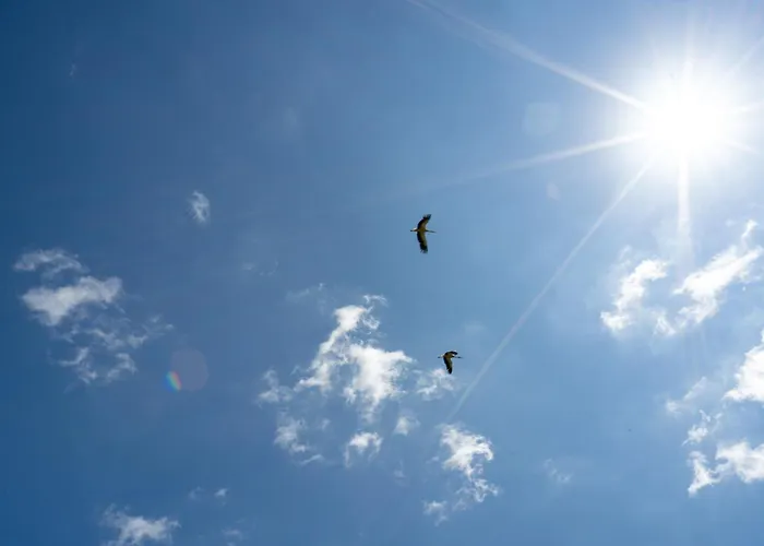 Wilcza Polana Kolo Miedzygorza Z Jacuzzi I Sauna Jaworek