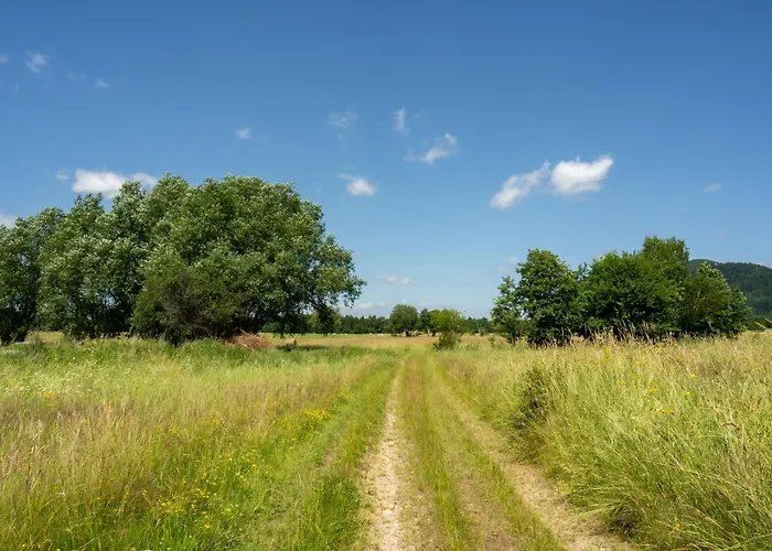 Wilcza Polana Kolo Miedzygorza Z Jacuzzi I Sauna *