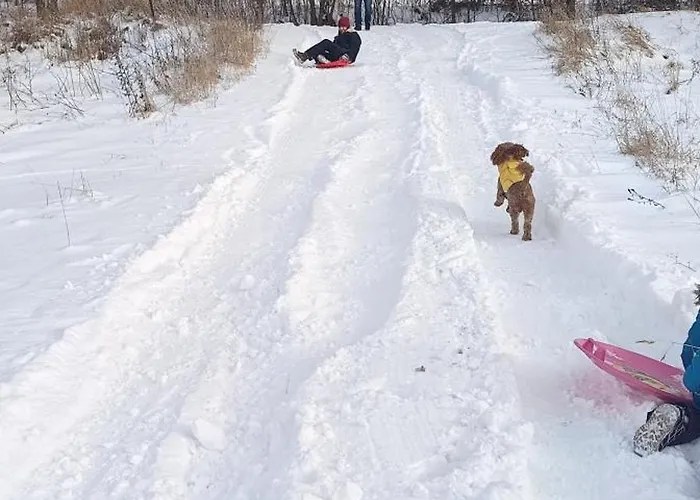 Alpehytte Wilcza Polana Kolo Miedzygorza Z Jacuzzi I Sauna